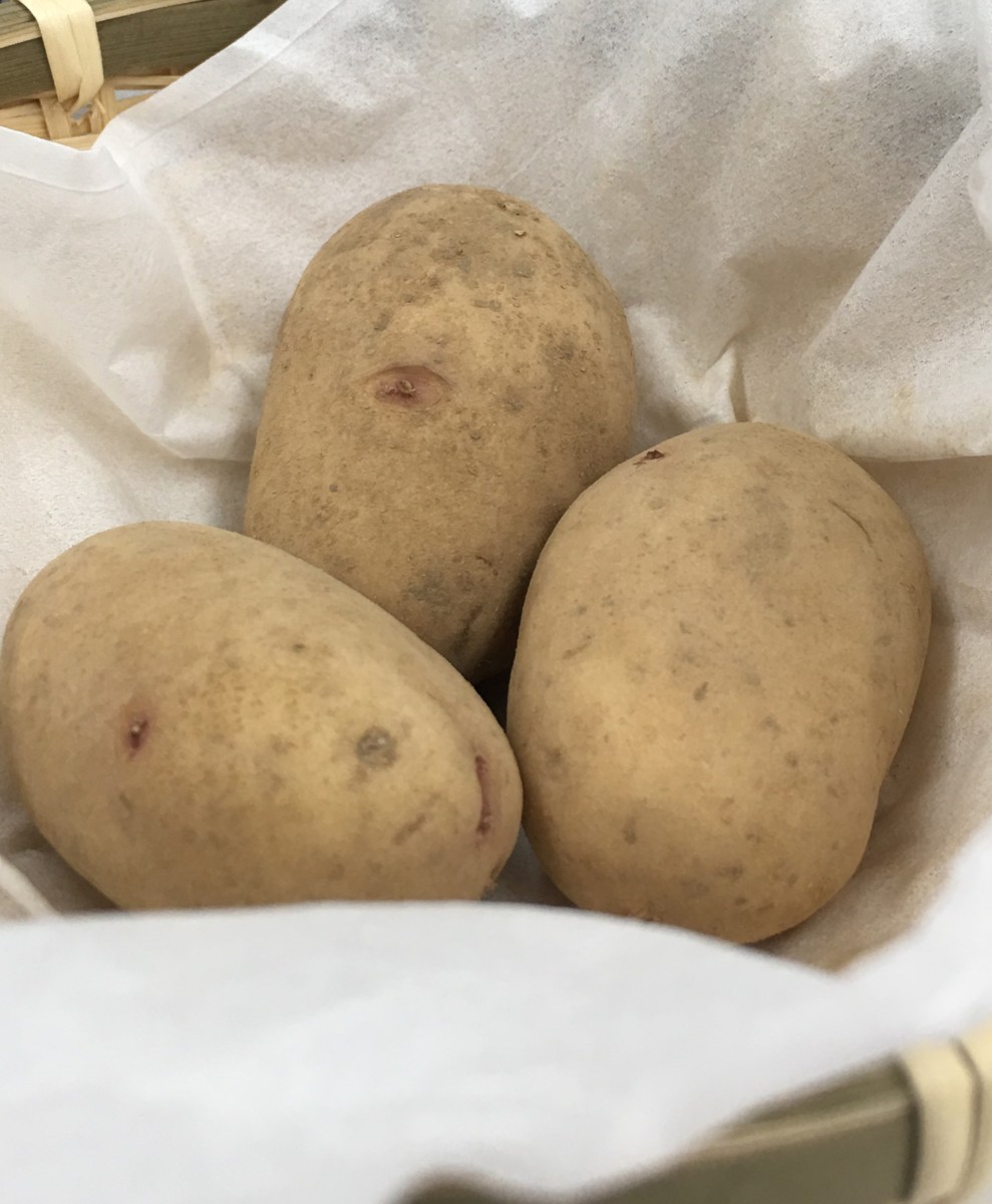 じゃがいもを食す 菊芋 赤ニンニク ウコンから作る健康食品の販売 通販 ネットショップ 山口県山口市の種苗会社 株式会社山陽種苗 じゃがいもを食す 菊芋 赤ニンニク ウコンから作る健康食品の販売 通販 ネットショップ 山口県山口市の種苗会社 株式会社山陽種苗